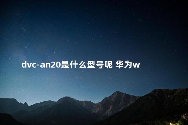 dvc-an20是什么型号呢 华为wlz-an00是什么型号